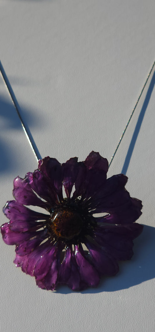 Flor del campo