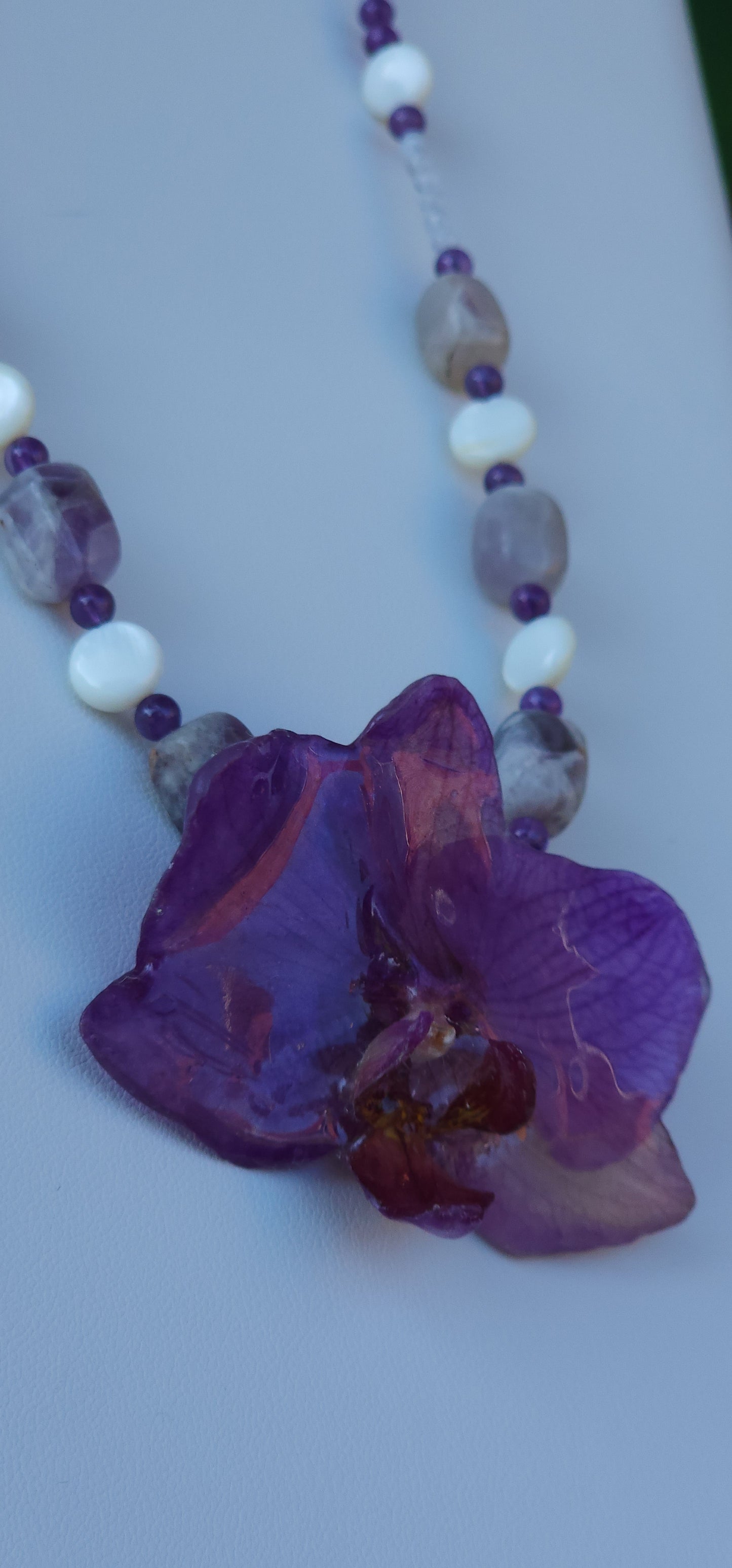 Violeta real